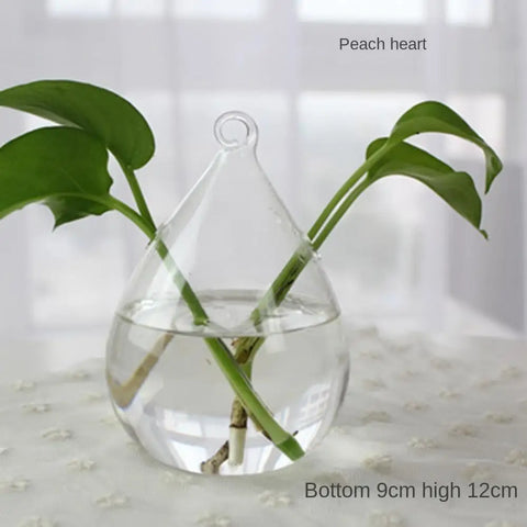 Transparent Glass Vase